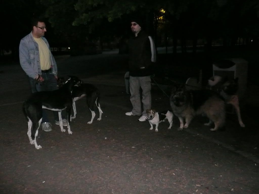 Nicolai and Kash with the pack