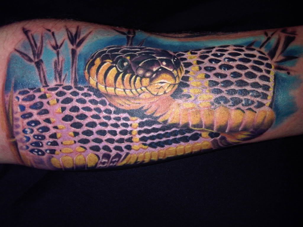 mangrove tattoo by inky jo Reptile Forums