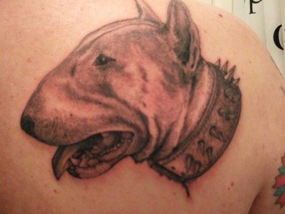 532974_115687758564113_232521476_n_zpsvd