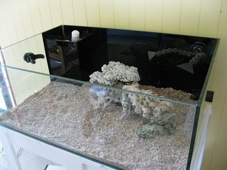 Minimalist Aquascaping - Page 36 - Reef Central Online Community