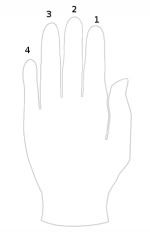 Guitarra: Ejercicios para Fortalecer los Dedos (Meñique) Guitarra: Ejercicios para Fortalecer los Dedos (Meñique)