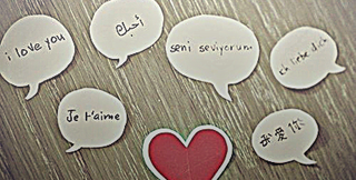 photography Pictures, Images and Photos