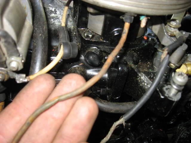 019-2.jpg