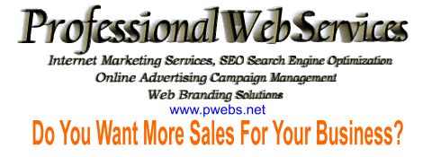 Professional Web Services SEO and Internet Marketing Services