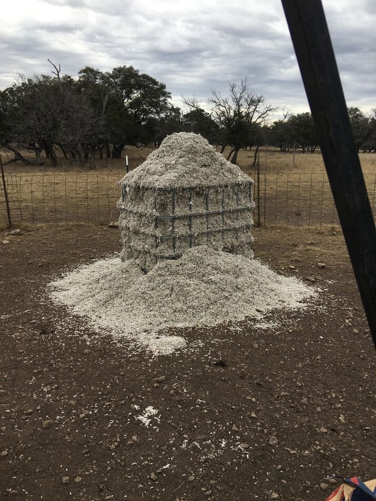 Feeding Cotton Seed For Deer Texas Hunting Forum