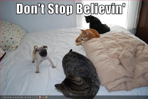 Don't stop Believing