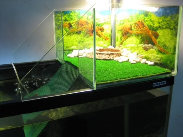 Raised Top Enclosure For Larger Aquarium Habitats And Equipment