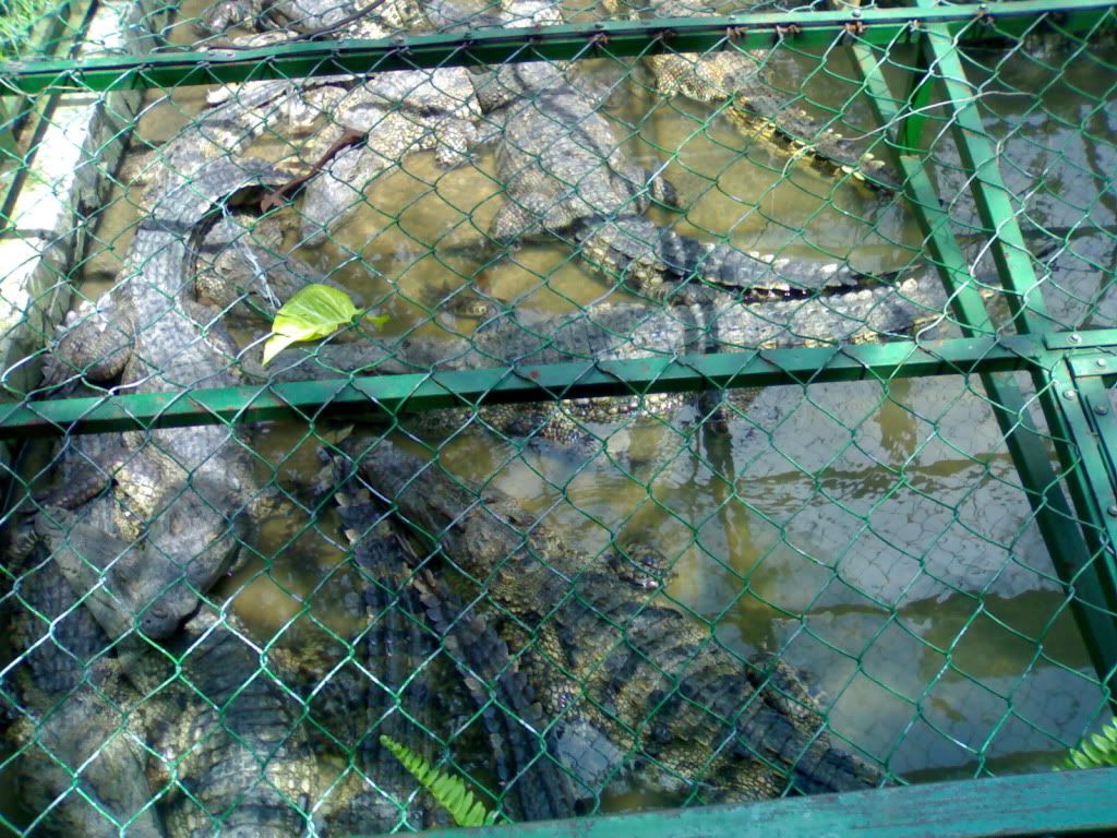 171020101132.jpg
