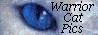 Warrior Cat Pics