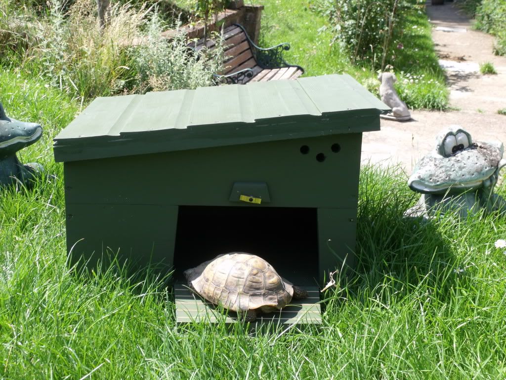 Tortoise lodges/tables/hibernation boxes ,unique and bespoke Shelled