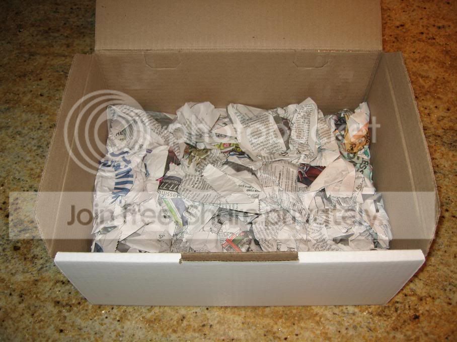 The Anatomy of a Pack - Chapter 3 | Rig-Talk